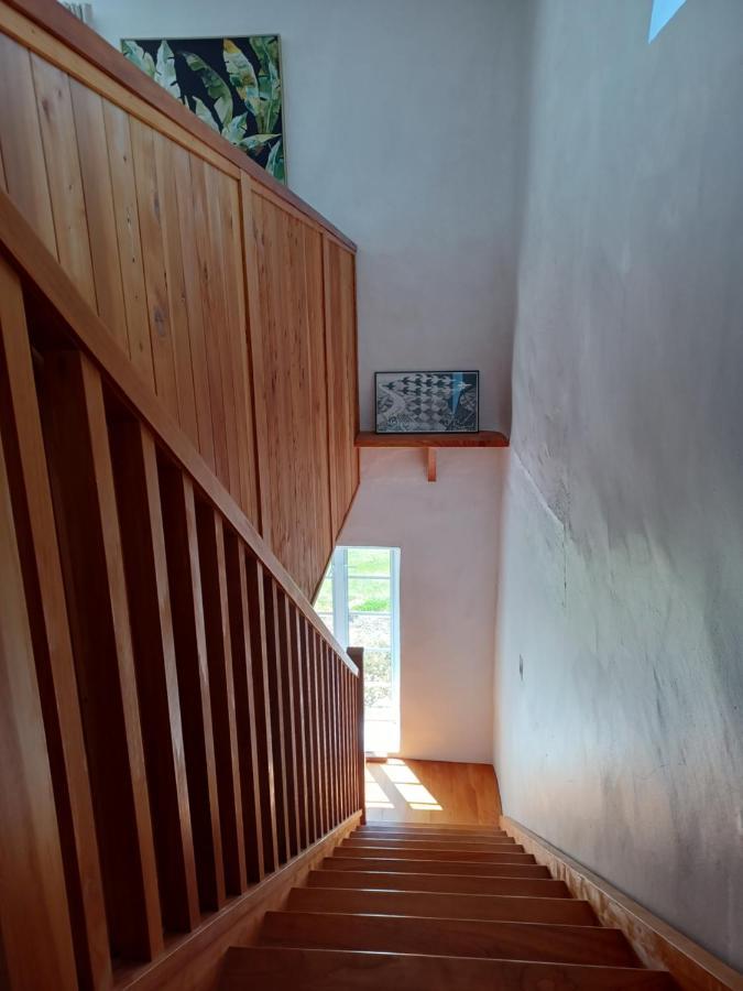 Pirita Vineyard Cottage. Upper Moutere Zewnętrze zdjęcie